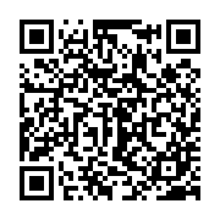 QR code for ZTW587