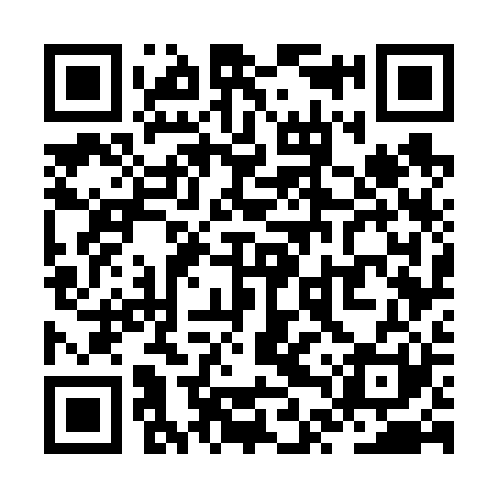 QR code for ZTW621