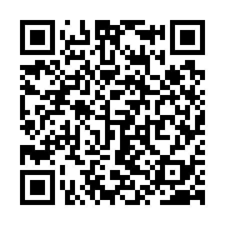 QR code for ZTW739