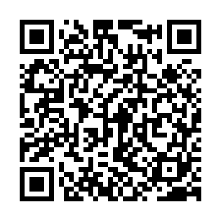 QR code for ZTW861