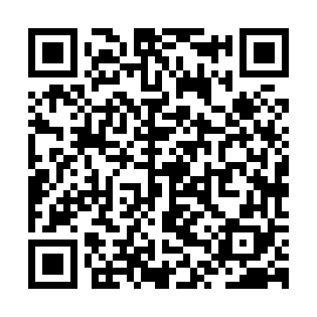 QR code for ZTX868