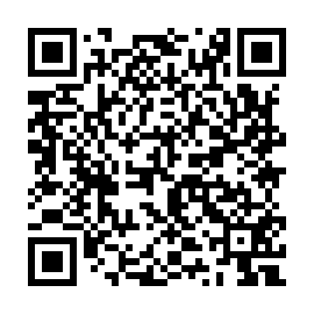 QR code for ZTY951