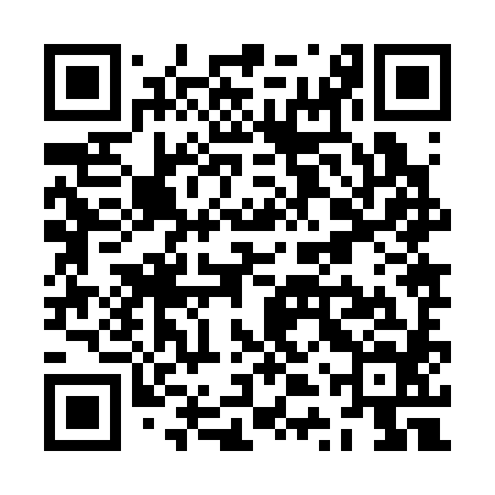 QR code for ZTZ384
