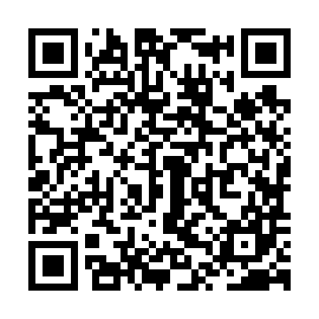 QR code for ZTZ687
