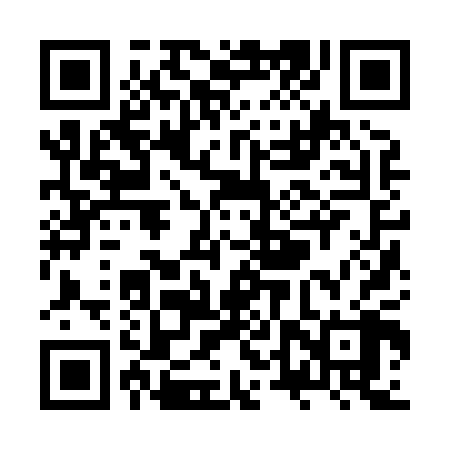QR code for ZTZ808