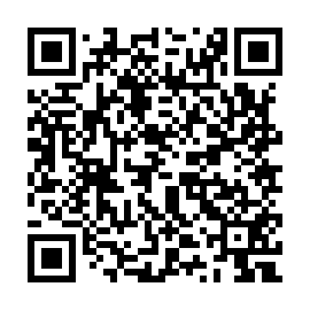 QR code for ZTZ951
