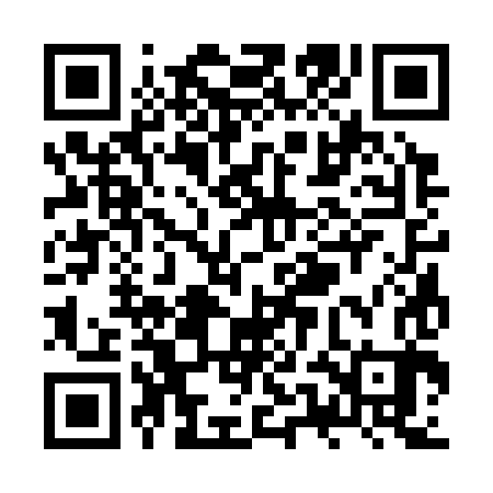 QR code for ZUC383