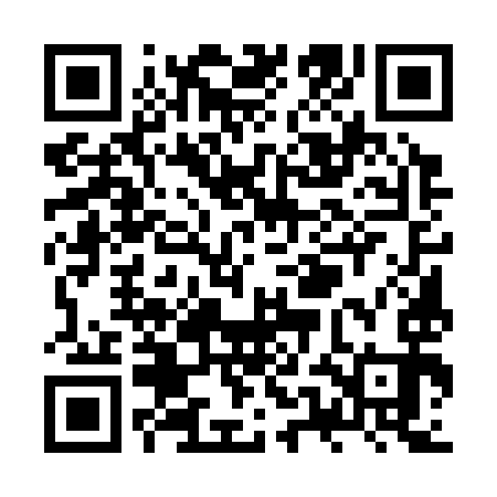 QR code for ZUE393