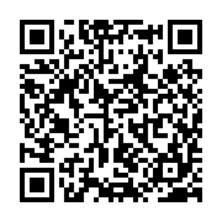 QR code for ZUI294