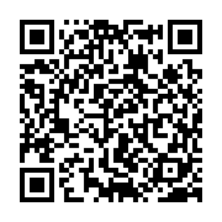 QR code for ZUI368