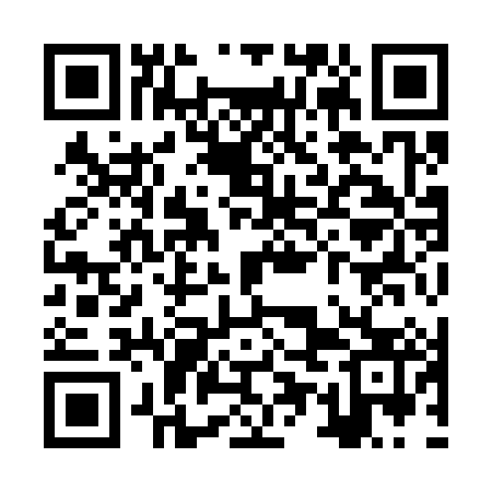 QR code for ZUI383