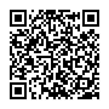 QR code for ZUI419