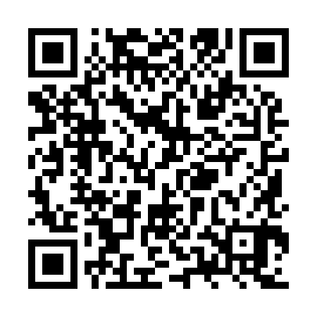QR code for ZUI980
