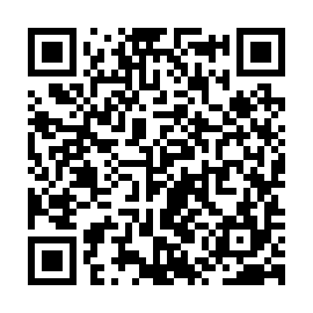QR code for ZUK294