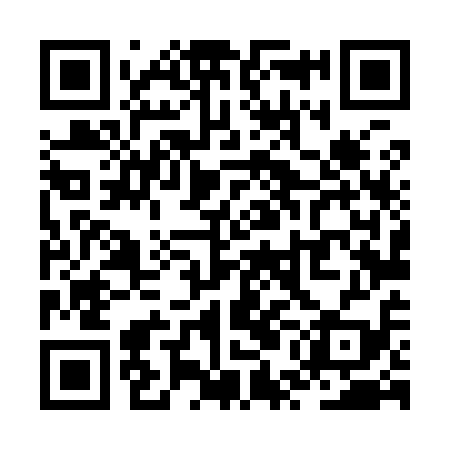 QR code for ZUL919