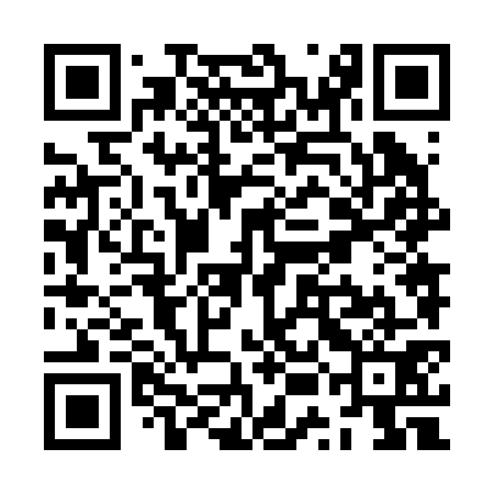 QR code for ZUN271