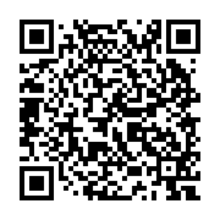 QR code for ZUP293