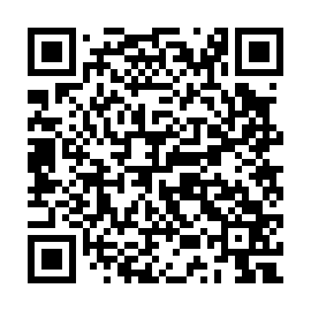 QR code for ZUR063
