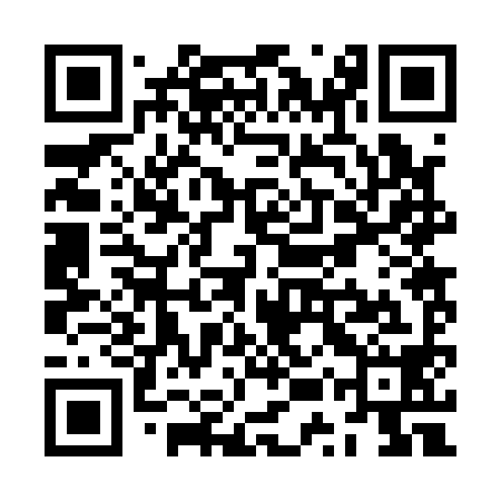 QR code for ZUR198