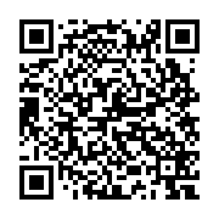 QR code for ZUR369
