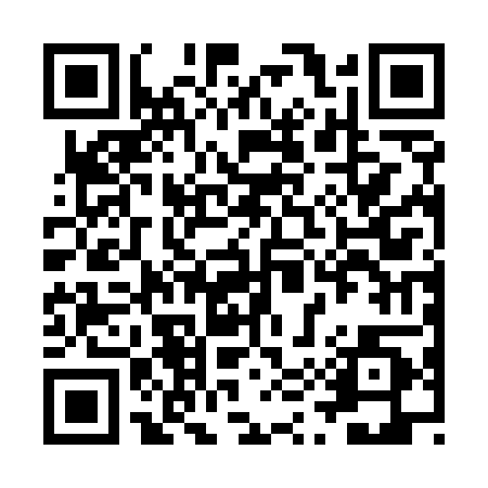 QR code for ZUR500