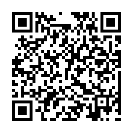 QR code for ZUR575