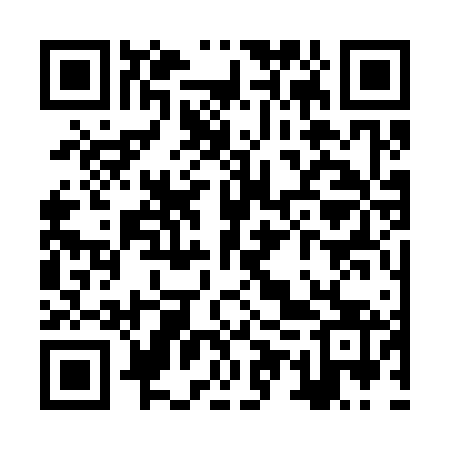 QR code for ZUS363