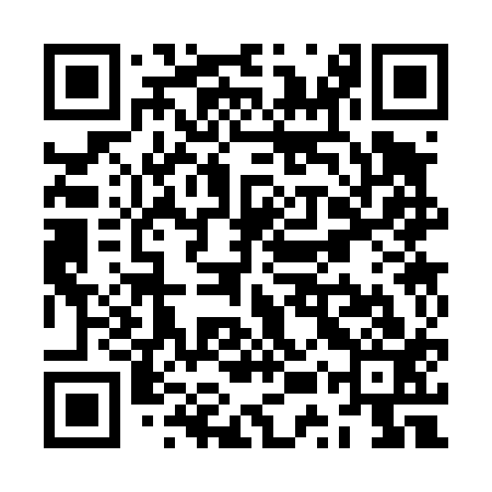 QR code for ZUS413