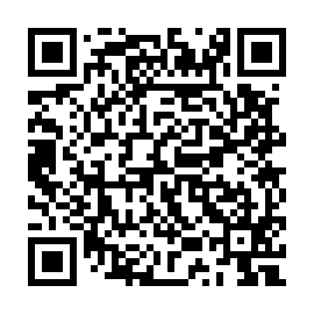 QR code for ZUS595