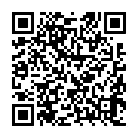 QR code for ZUS699