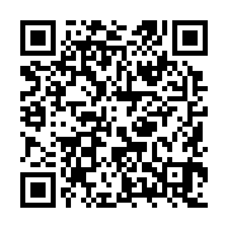 QR code for ZUY381