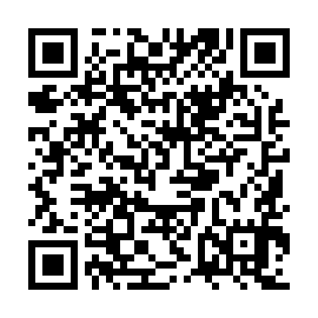 QR code for ZVI095