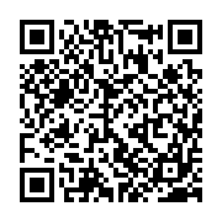 QR code for ZVI317