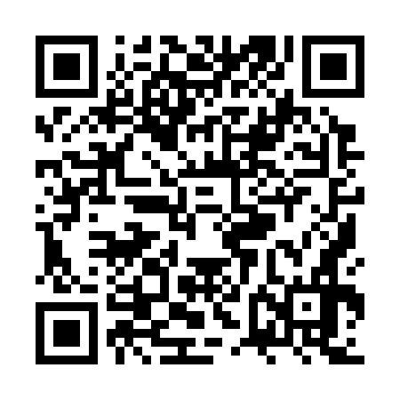 QR code for ZVI376