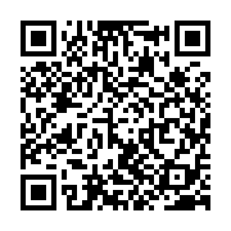 QR code for ZVI919