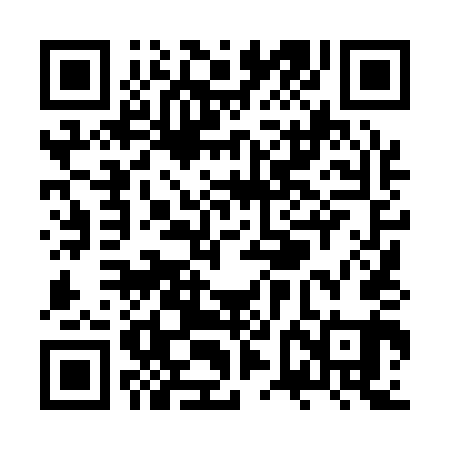 QR code for ZVL141