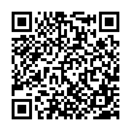 QR code for ZVL306