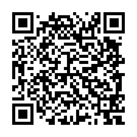QR code for ZVL498