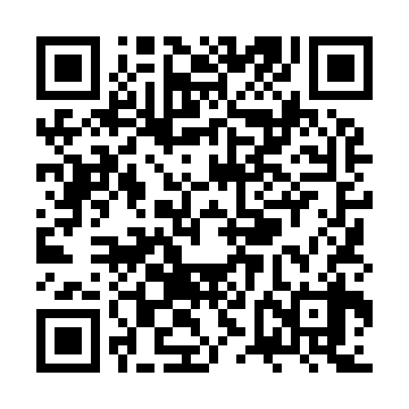 QR code for ZVL938