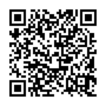 QR code for ZVM285