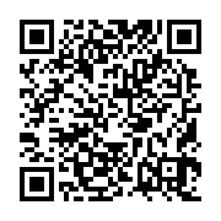 QR code for ZVM363