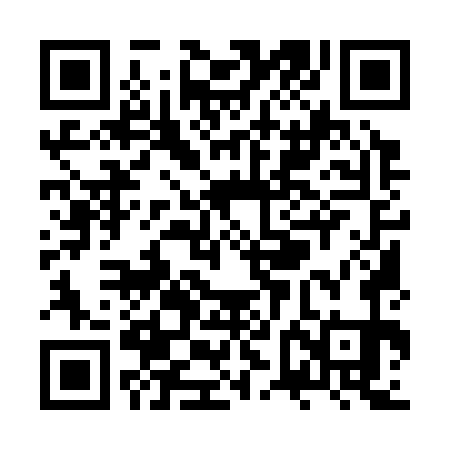 QR code for ZVM371
