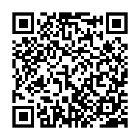 QR code for ZVN155