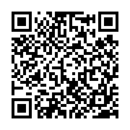 QR code for ZVO617