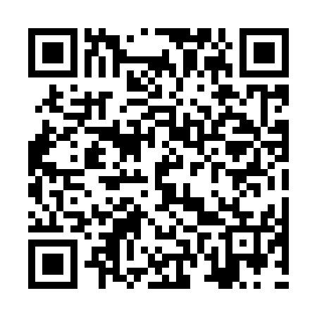 QR code for ZVP955