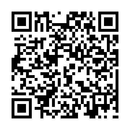 QR code for ZVR306