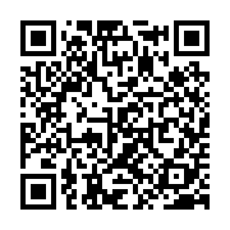 QR code for ZVS208