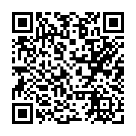 QR code for ZVS391