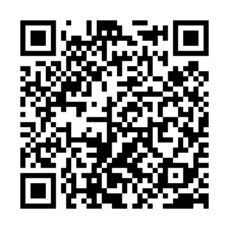 QR code for ZVS419
