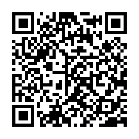 QR code for ZVT038